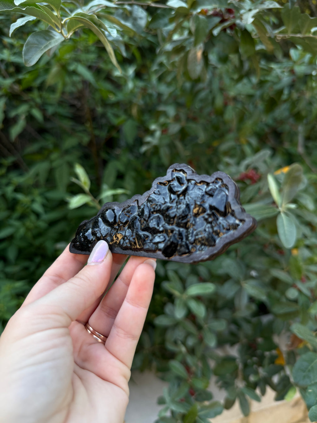 KY Coal Magnet