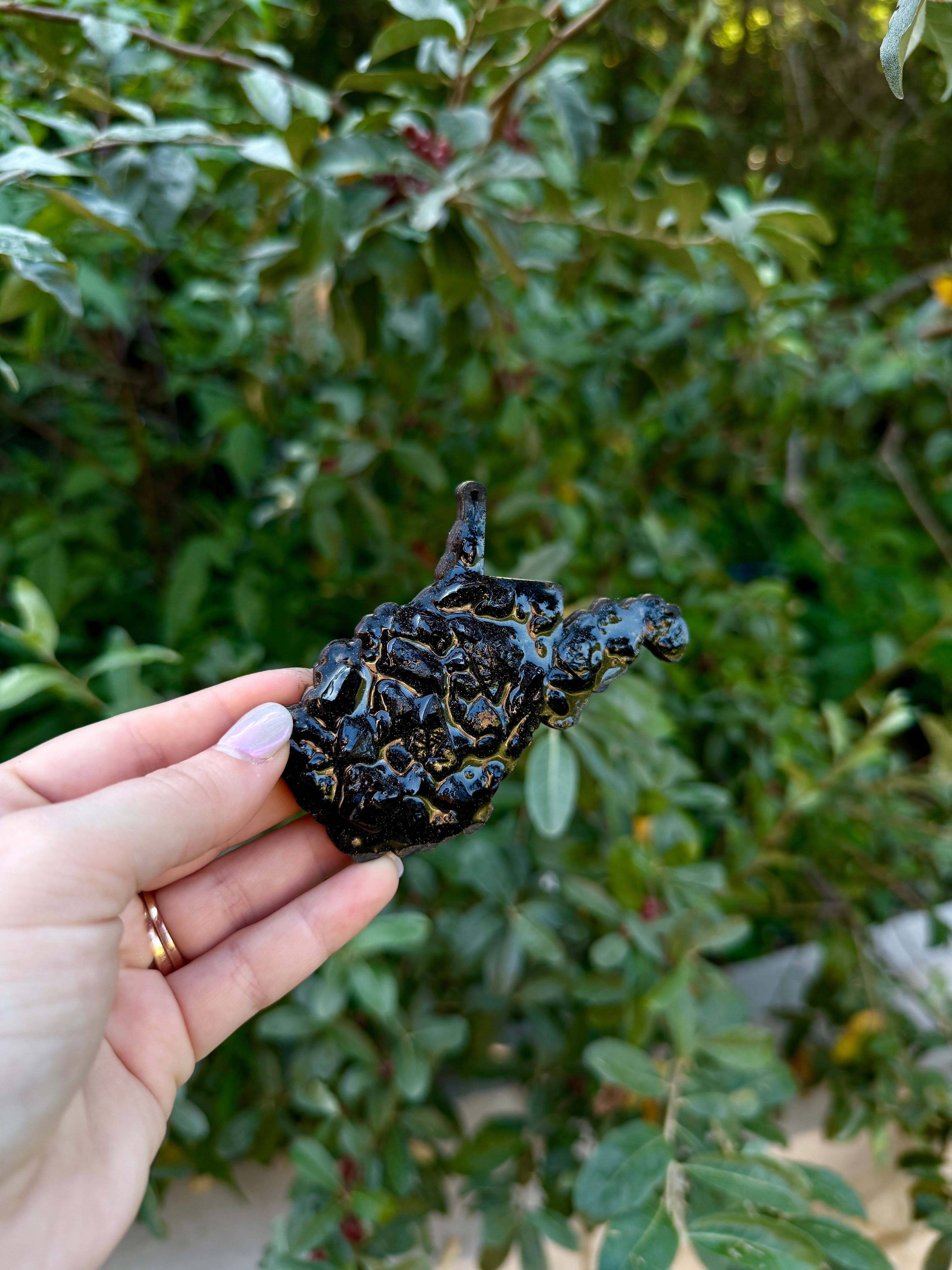 WV Coal Magnet